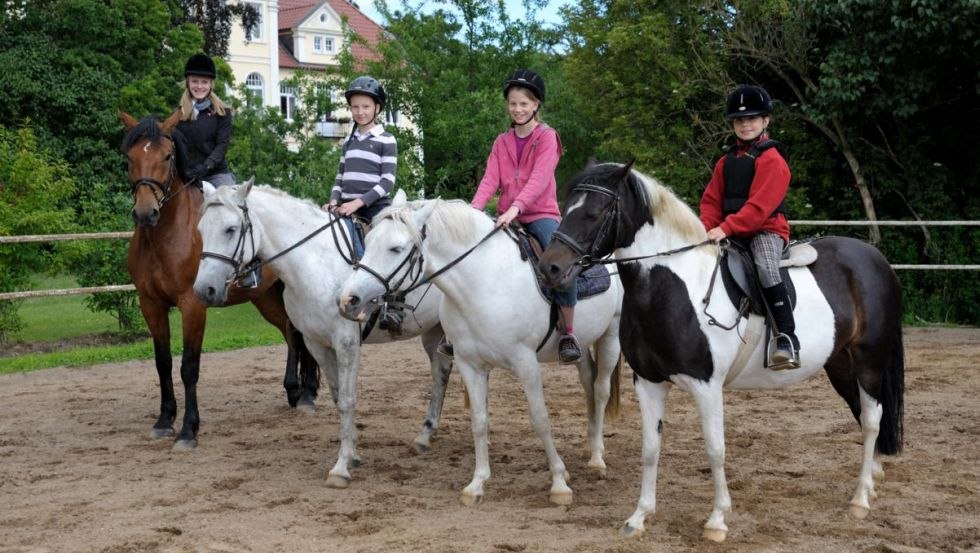 Pferde auf dem Oberhofer Reitplatz, © Margit Wild