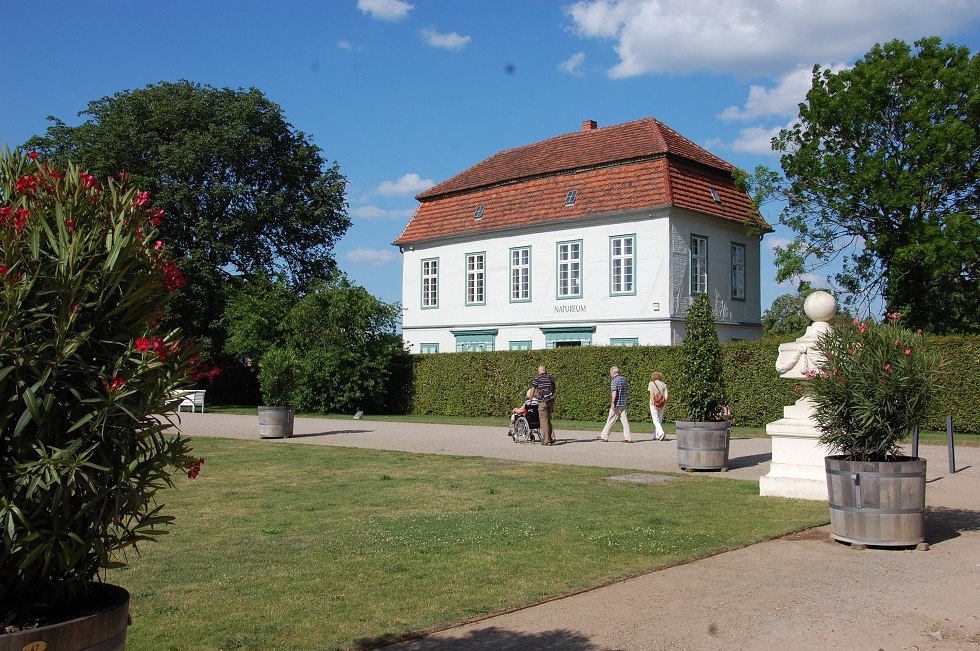 Das Natureum befindet sich hinter dem Schloss., © Gabriele Skorupski