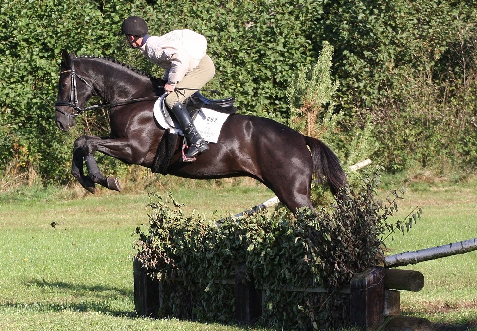 Erlkönig im Gelände, © Trakehnerhof Valluhn