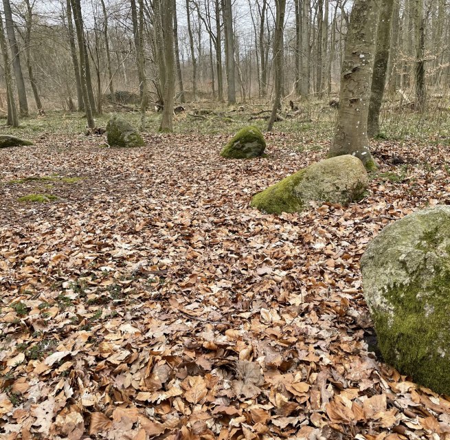 © Tourismuszentrale Südliche Boddenküste