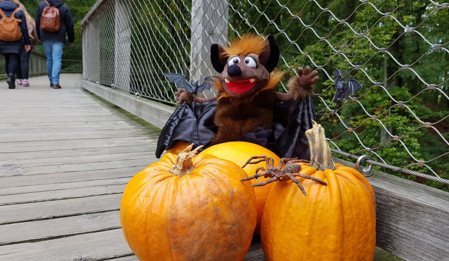 Halloween auf dem Baumwipfelpfad, © Erlebnis Akademie AG/NEZR