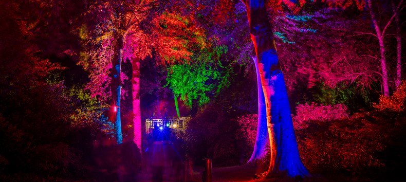 »Nachts im Park« — ein entspanntes Lichtkunst-Event, © André Pristaff / Tourismus- und Kur GmbH Graal-Müritz