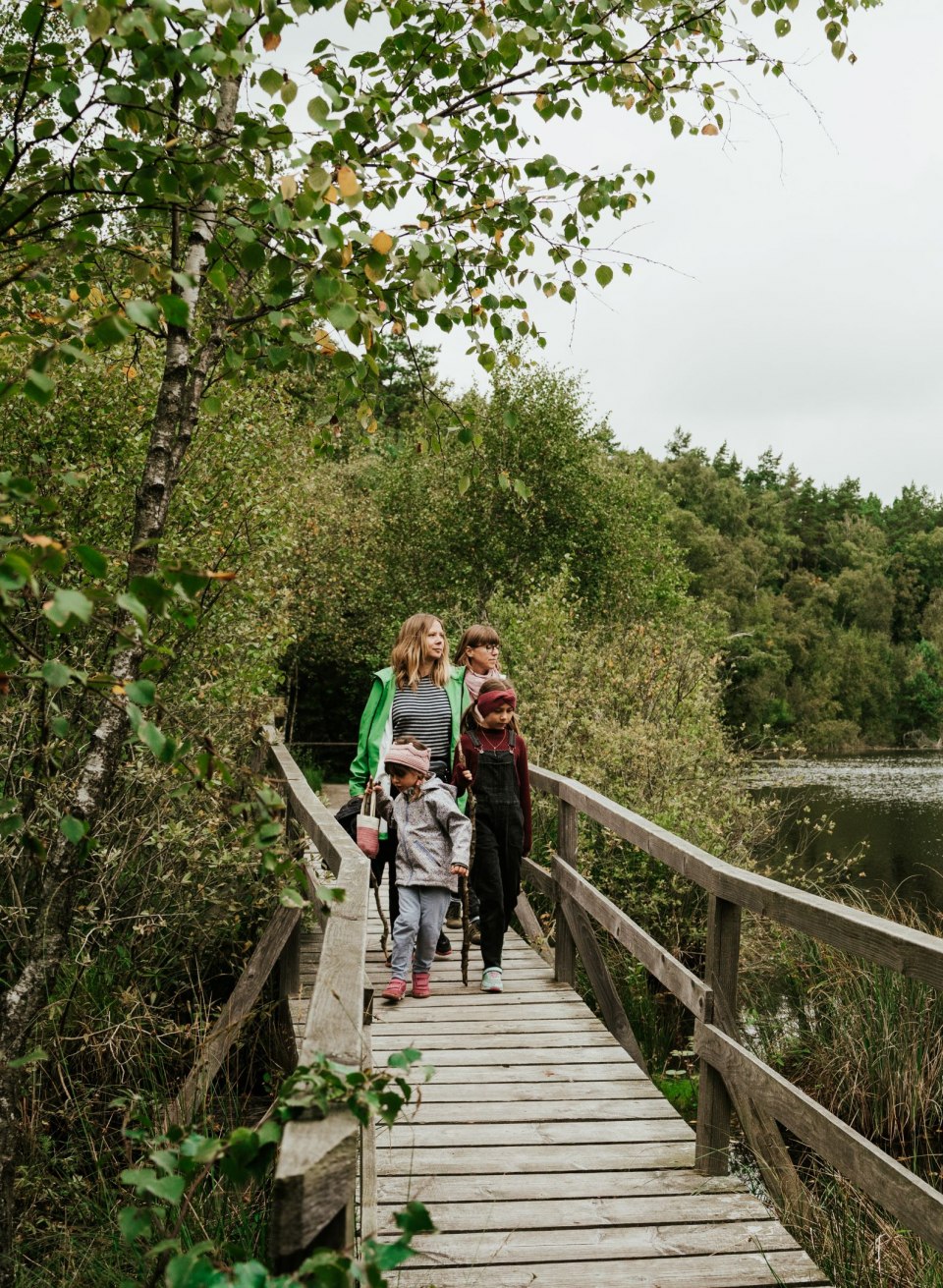 Eine Familie erkundet den Müritz-Nationalpark auf einem idyllischen Holzsteg, der entlang eines ruhigen Sees durch dichte Wälder führt. Umgeben von unberührter Natur genießen sie die Stille und die Schönheit der Landschaft.