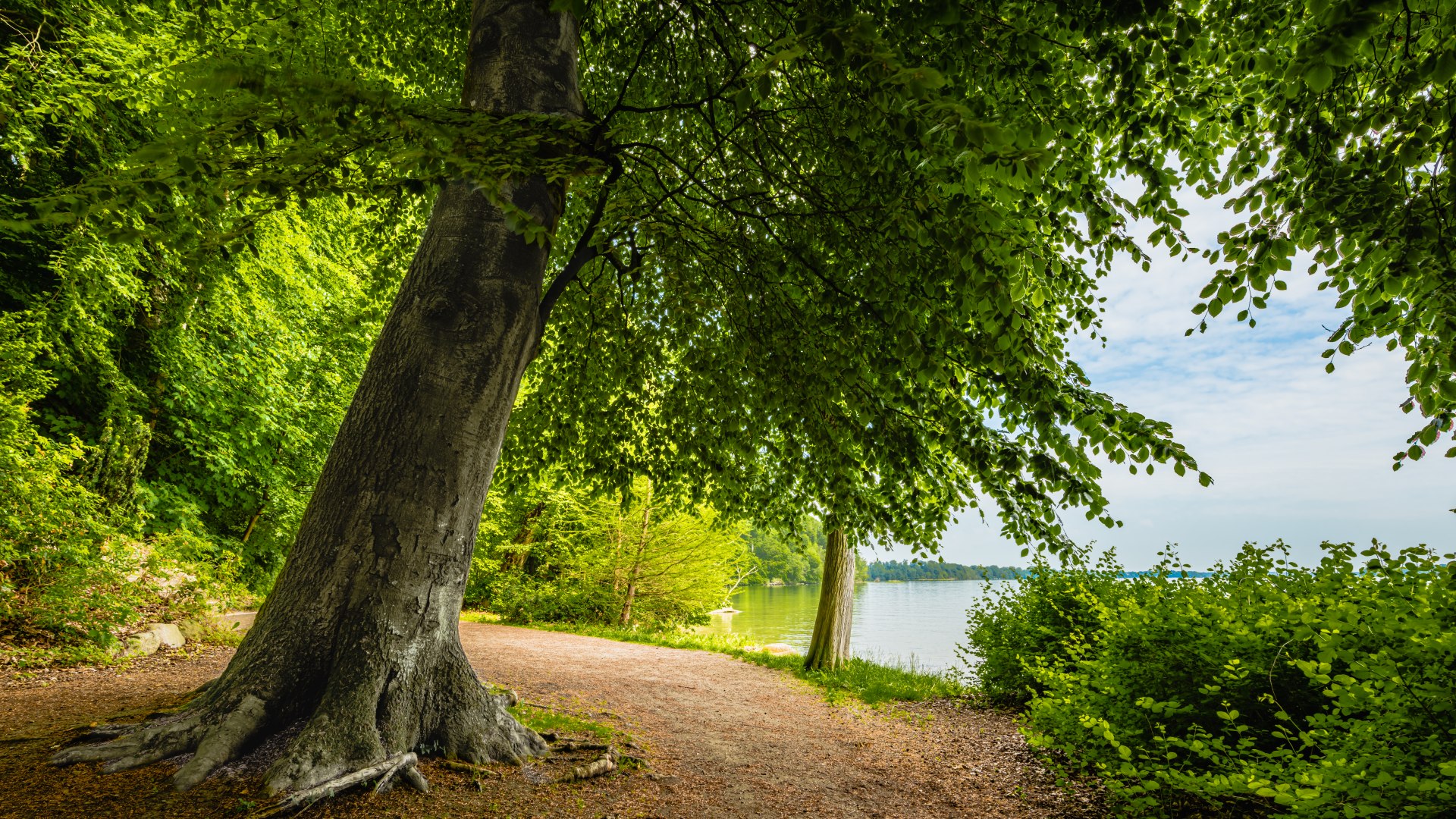 Auf vielen Kilometern lässt es sich durch den Wiligrader Schlosspark promenieren., © TMV/Tiemann