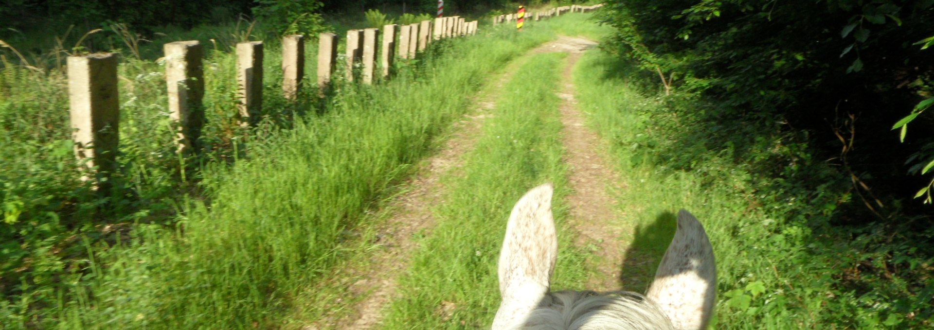 Reiten an der Grenze, © von Eick