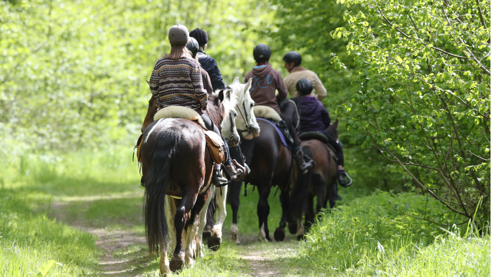 Reiten im Demminer Land, © ACP