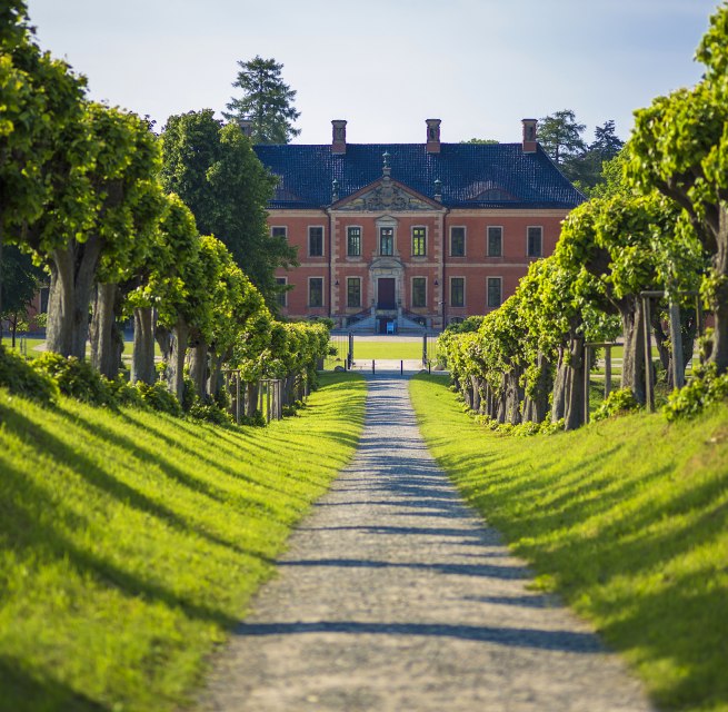 Festonallee zum Schloss Bothmer, © SSGK MV / Timm Allrich