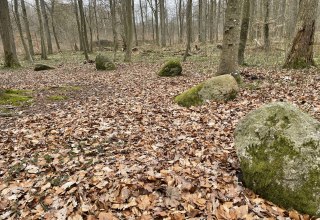 © Tourismuszentrale Südliche Boddenküste