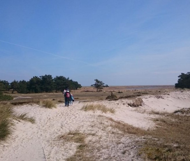 Dünen am Darßer Ort, © TMV/UB