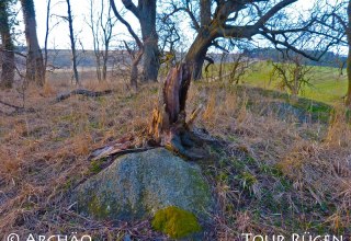 das Großsteingrab inmitten eines baumbestandenen Hügels, © Archäo Tour Rügen