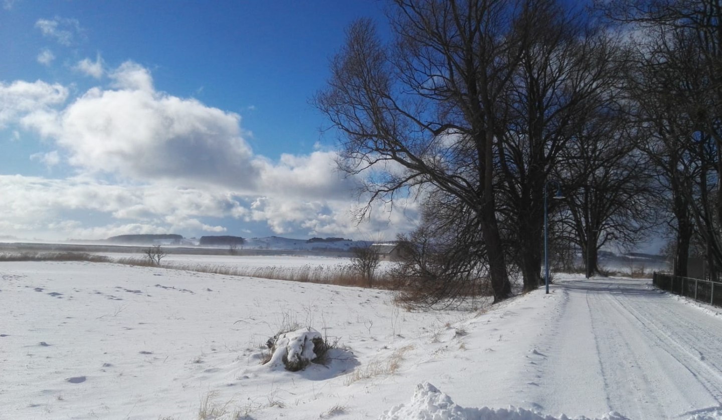 Winterwanderung, © Petra Wolter