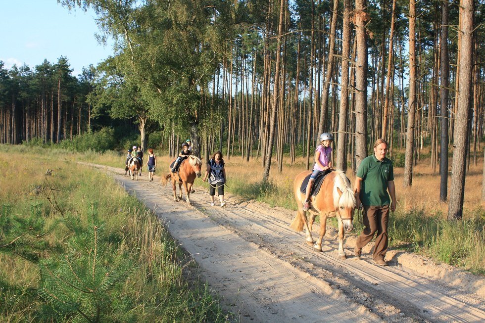 Ruhige oder schnelle Ausritte sind auf unseren hauseigenen Strecken das Highlight eines jeden Urlaubs., © Waldhof Bruchmühle