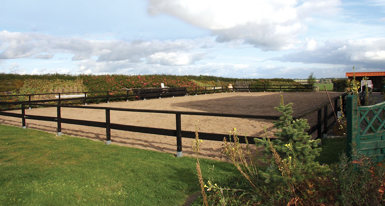 Ideale Bodenverhältnisse auf dem Reitplatz der Reitpension Behrens, © ARTE Grafia