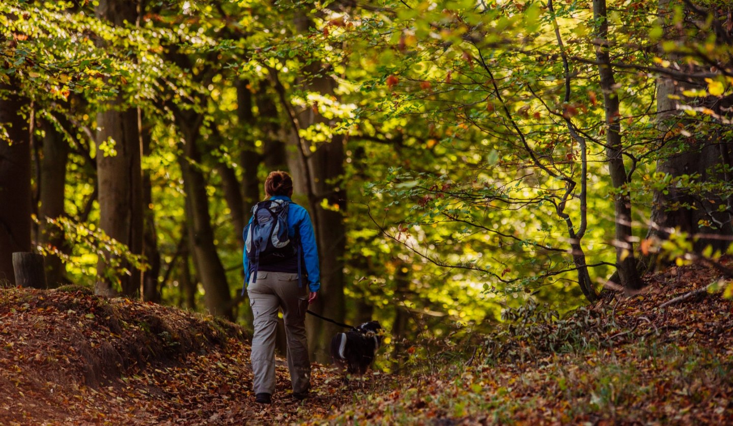 Wanderung: Mit dem Hund unterwegs, © Binzer Bucht Tourismus