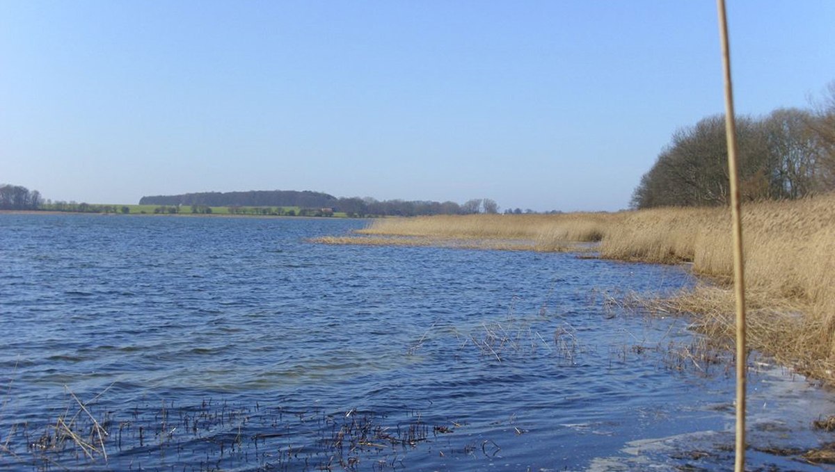 Liddow auf Rügen, © Foto: Ines Wilke,  Naturerlebnisverein Rügen