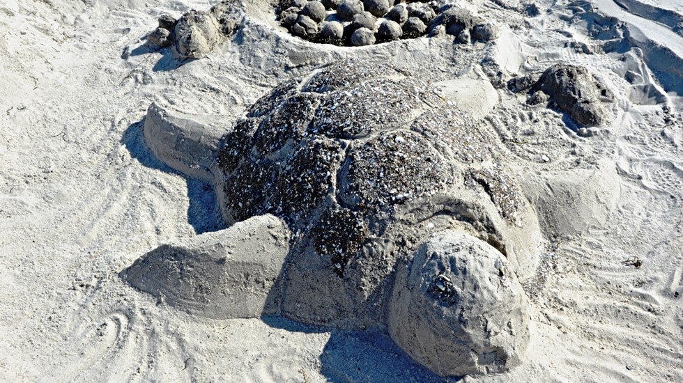 Siegerschildkröte - Sandburgenwettbewerb in Boltenhagen, © Kurverwaltung Ostseebad Boltenhagen