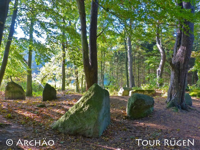 Am Küstenweg zwischen Lancken-Granitz und Stresow liegen die "Ziegensteine" im Schatten hoher Laubbäume., © Archäo Tour Rügen