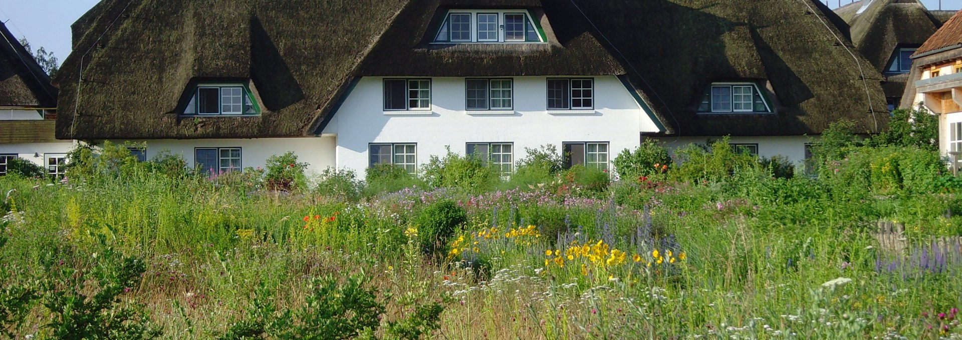 Gartenseite des Hotels Haferland, © Martina Evers