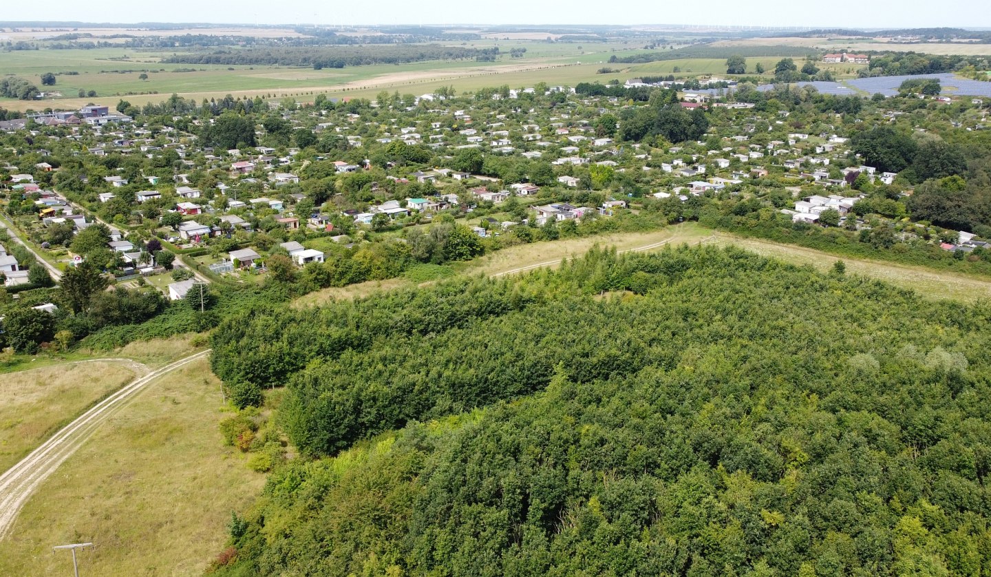 Klimawald Neubrandenburg-Nettelkuhl, © Landesforst MV