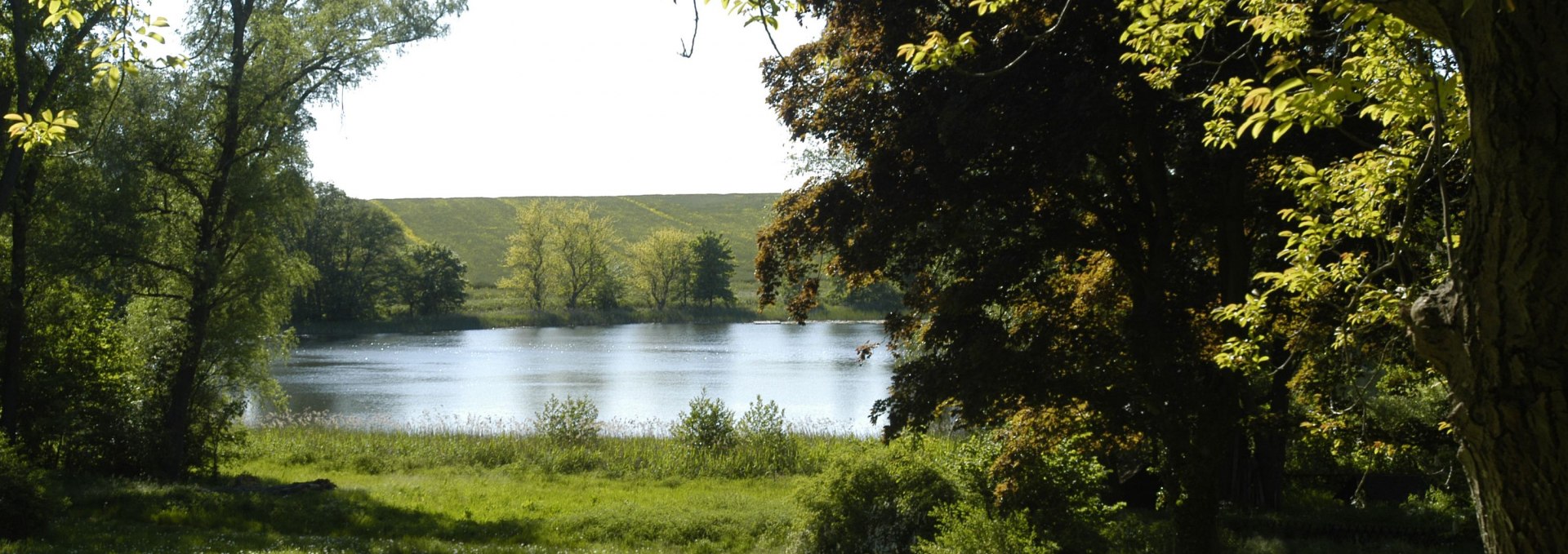 Abkühlung lockt im Badesee von Walkendorf., © Förderverein der Heimat- und Kulturpflege Walkendorf