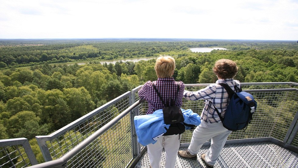 Fantastischer Blick vom Käflingsbergturm im Müritz-Nationalpark, © TMV/Frischmut