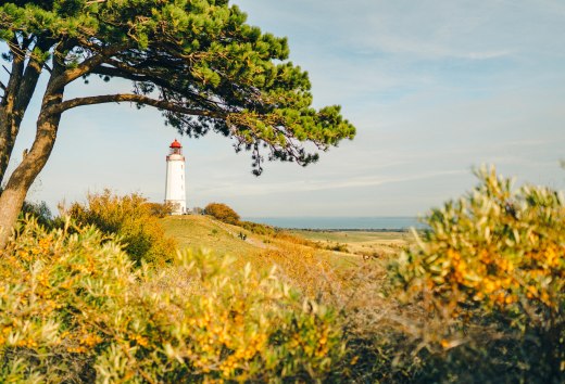 Ein Postartenmotiv schlechthin: Der Leuchtturm Dornbusch ist das Wahrzeichen der Insel Hiddensee., © TMV/Petermann