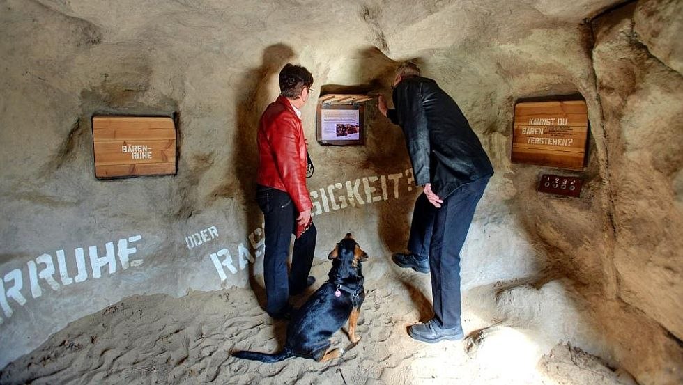 In der Ausstellungsstation "Bärenhöhle" wird die Winterruhe der Bären näher betrachtet, © BÄRENWALD Müritz/Sabine Vielmo