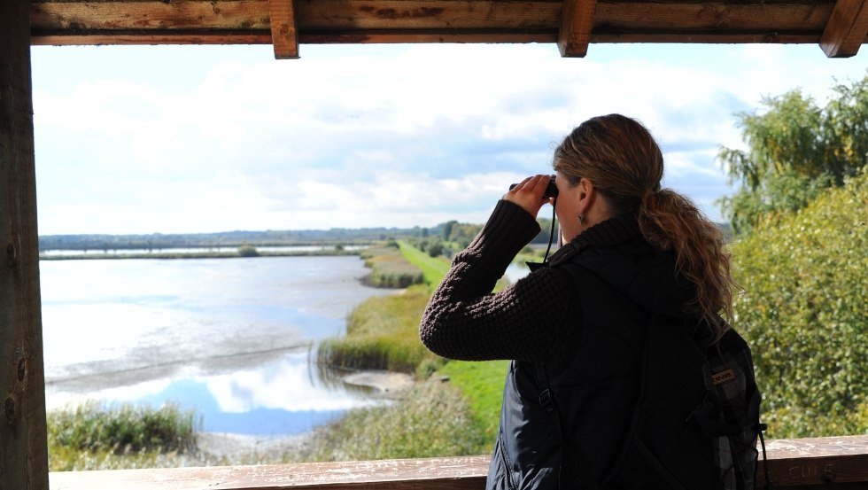 Vom Aussichtsturm haben die Besucher einen beeindruckenden Ausblick über die Fischteiche., © TMV/Foto@Andreas-Duerst.de