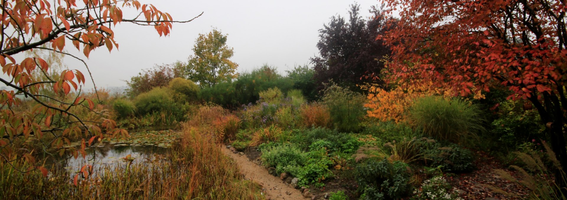 Herbst am Sündenborn, © Claus Gering