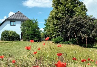 Großer Garten für Pausen und Bewegung, © hubmueritz