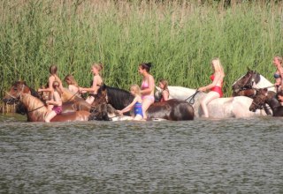 In der Region Goldberg-Mildenitz mit Pferden ins Wasser reiten, © Tourismusverein Waelder, Seen und Mehr e.V.