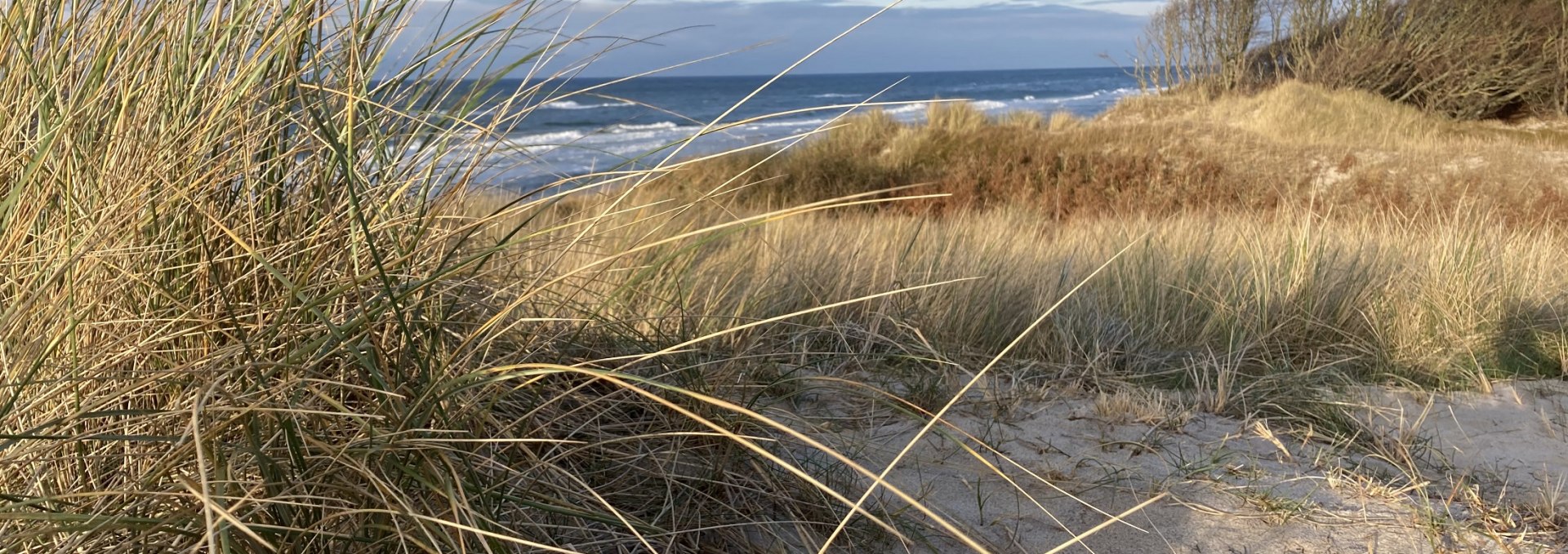 Weststrand Winter, © Katrin Bärwald