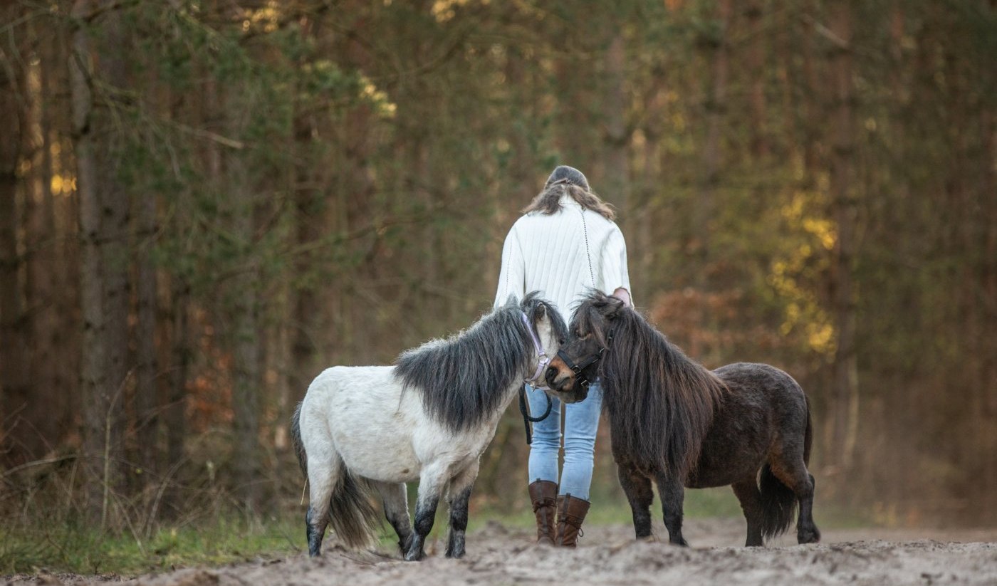 Pferde reagieren auf unsere Körpersprache, © Anniemal Fotografie