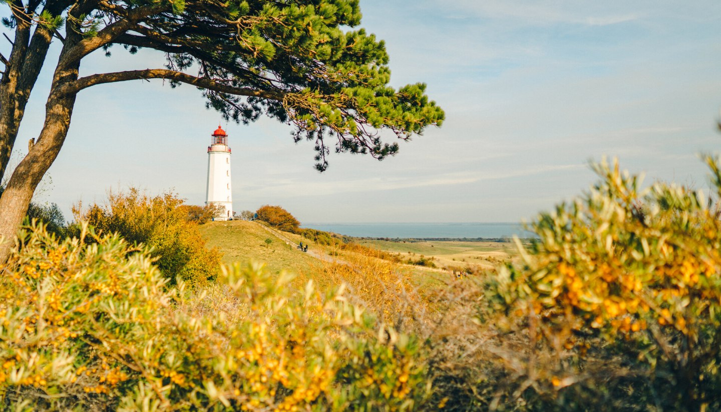 Ein Postartenmotiv schlechthin: Der Leuchtturm Dornbusch ist das Wahrzeichen der Insel Hiddensee., © TMV/Petermann