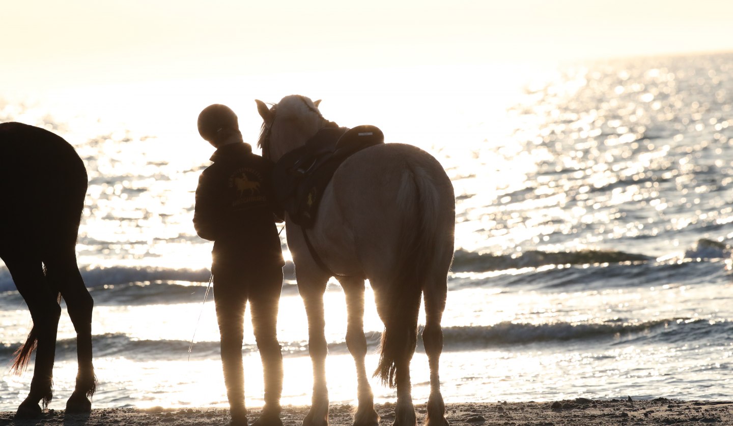 Reiten am Strand, © TMV/ACP Pantel