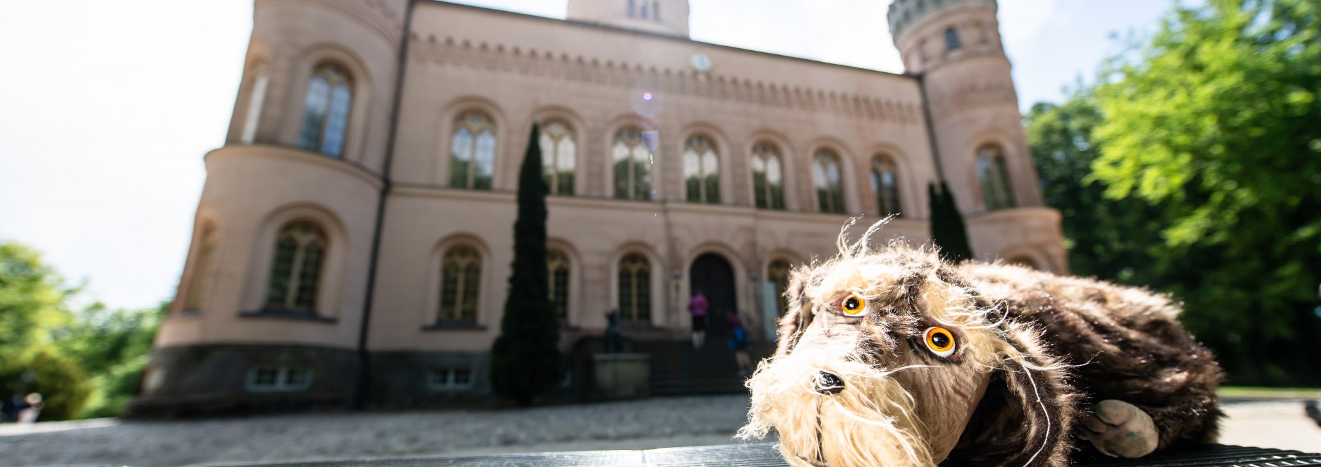 Puppenspielführung mit Schlosshund Waldi von und mit Birgit Schuster, © (c) SSGK M-V, Foto: Peter van Heesen