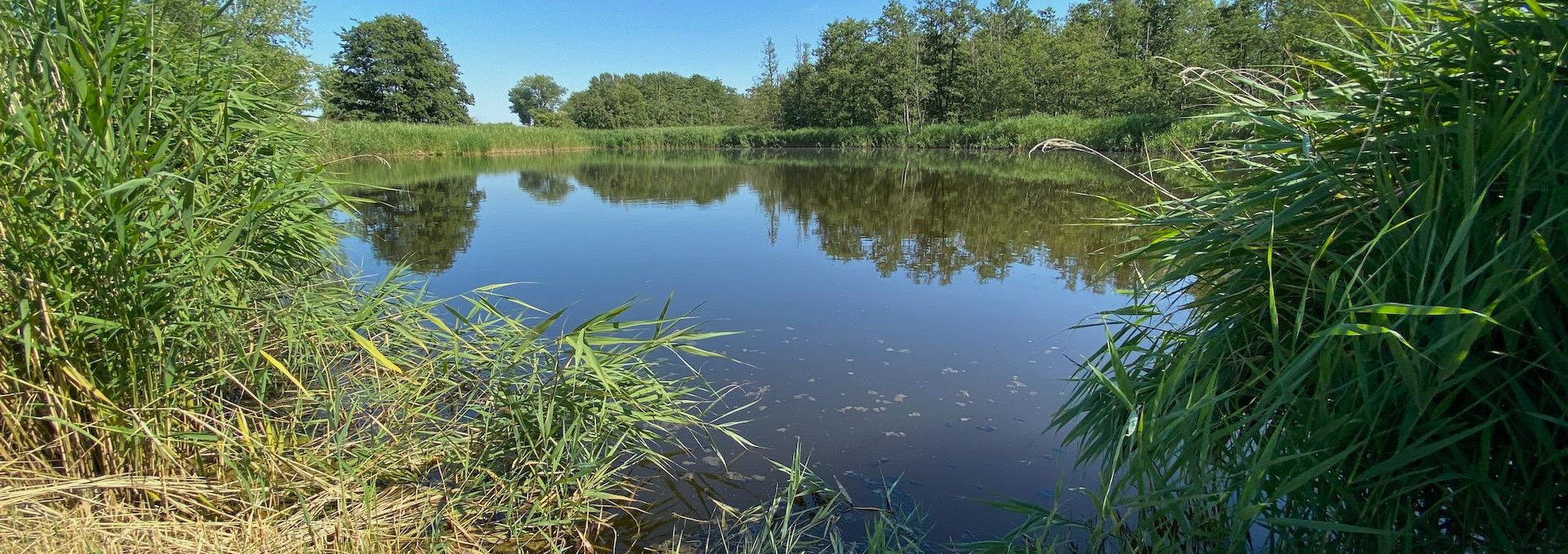 Naturbelassene hauseigene Angelseen, © Campingplatz Ostseequelle GmbH