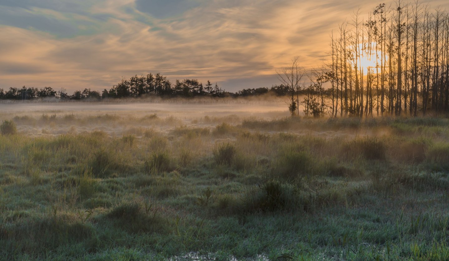 nationalpark, © Klaus-Herbert Schröter