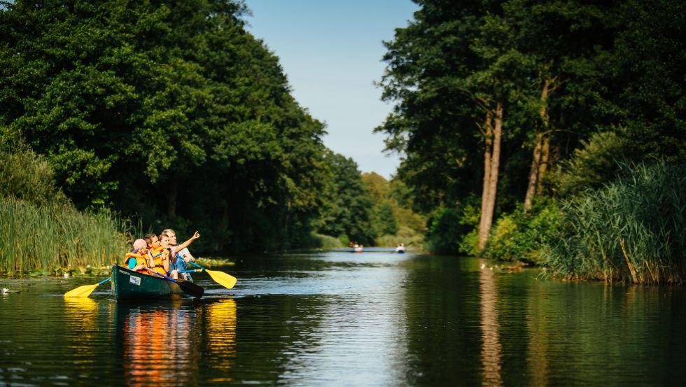 Genau hinschauen lohnt sich: Im Müritz-Nationalpark sind seltene Tier- und Pflanzenarten zu beobachten, © TMV/Roth