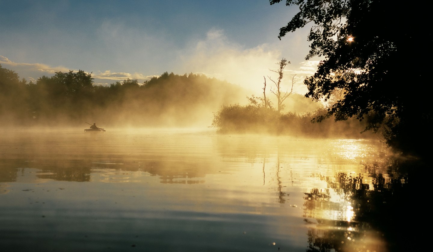 Geheimnisvoller Nebel am Morgen über der Peene, © TMV/Grundner