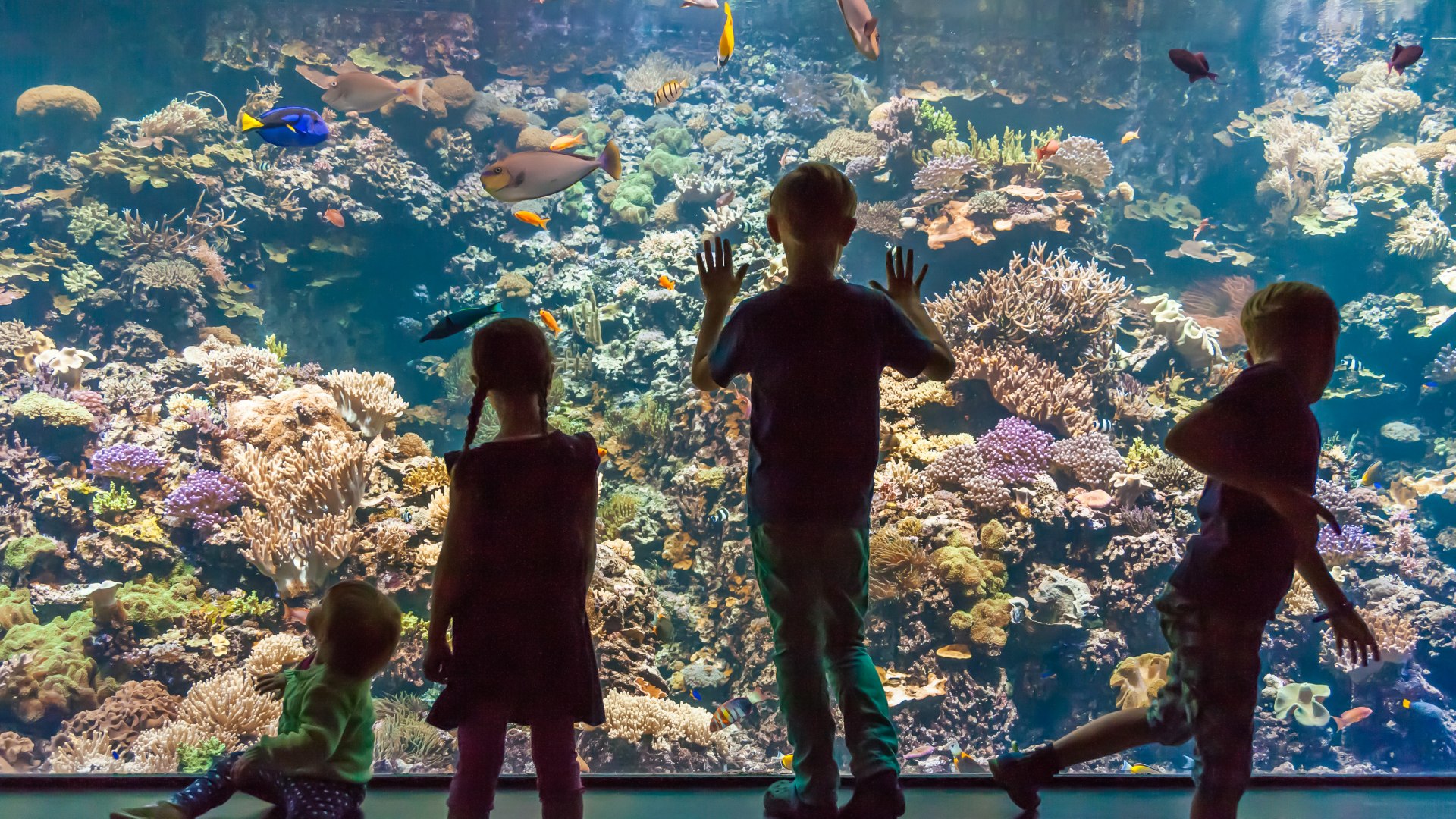 Ein Blick in die große Aquarienwelt, © Zoo Rostock