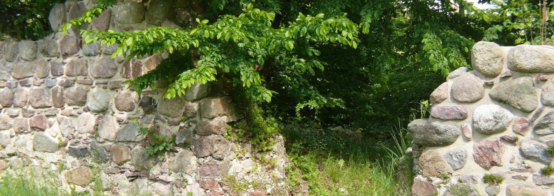 Wüste Kirche Domherrenhagen, © Peter Ramsch