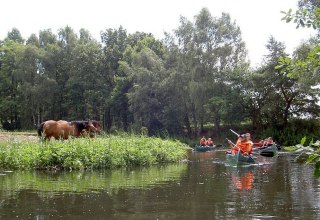 Naturidylle auf der Alten Elde, © Lewitzcamp Garwitz