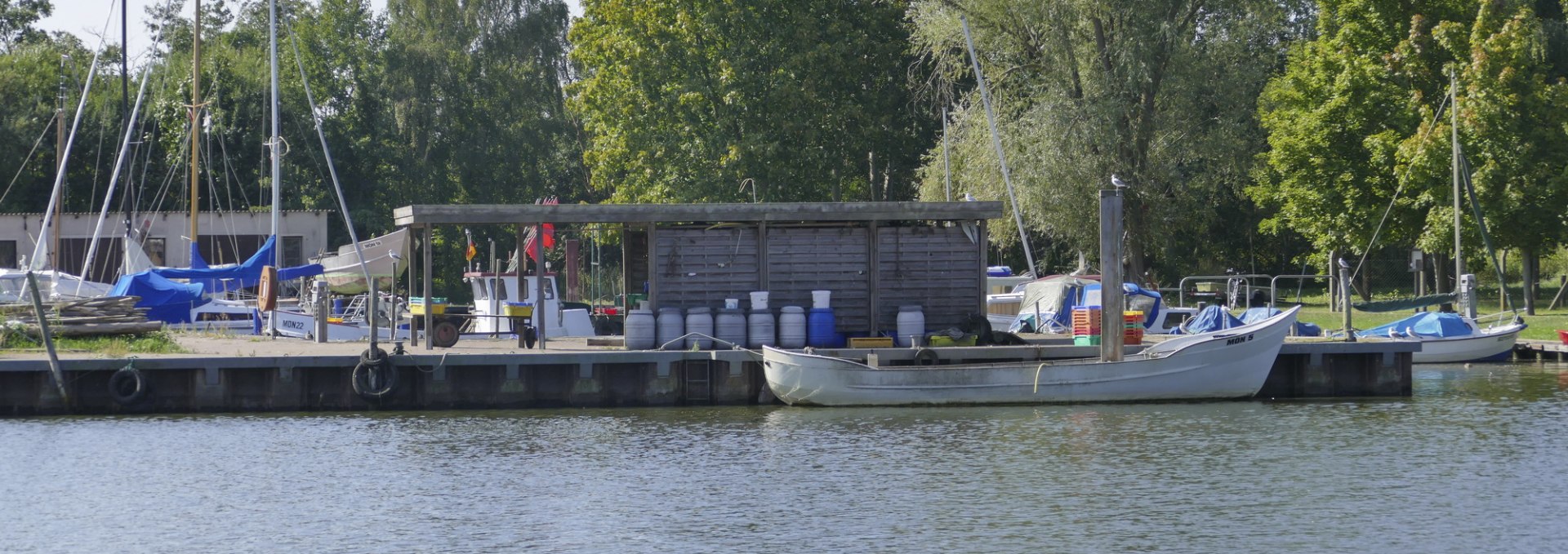 Der Fischereihafen liegt ebenfalls im Hafenbecken des Yachthafens gleich gegenüber, © TMV/cross media redaktion