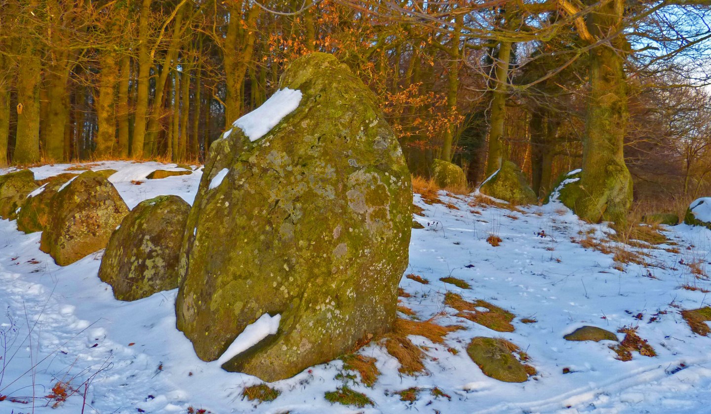 Das Großsteingrab im Schlosspark Dwasieden in Sassnitz, C. D. Friedrichs Motiv, © Dr. Katrin Staude