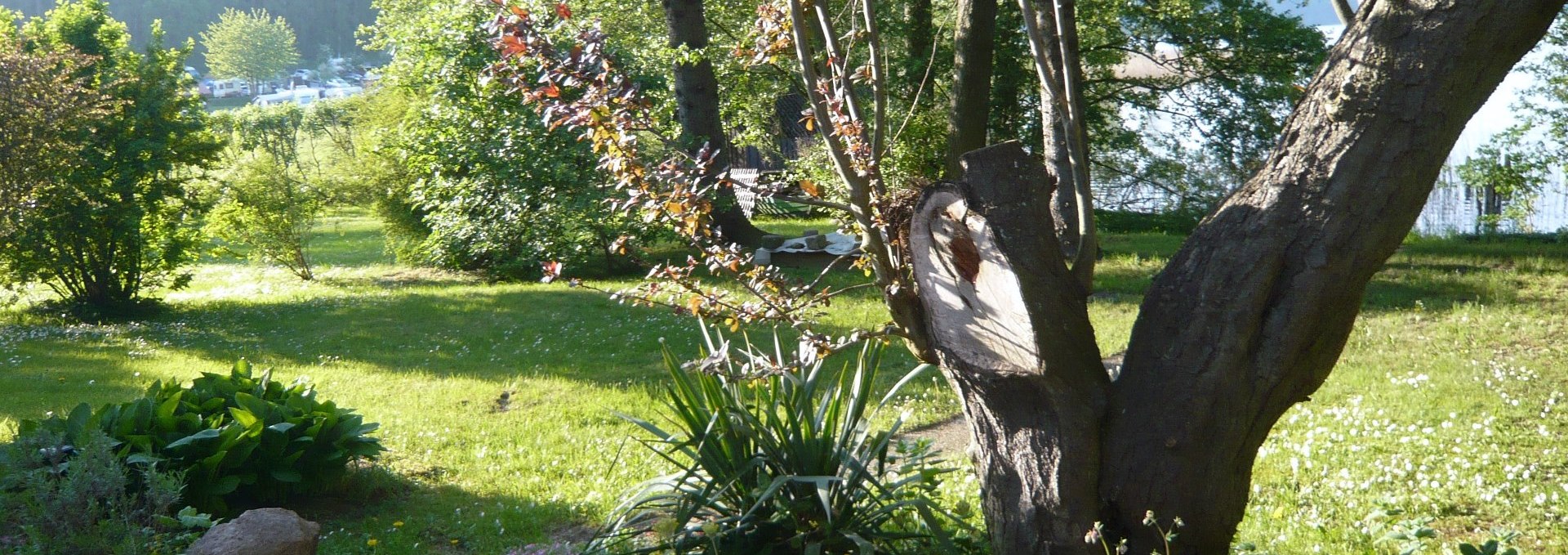 Die Aussicht über das Grundstück vom Grillplatz aus, © P. Kohlmann