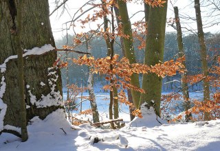 Wanderung ins neue Jahr, © Foto: Nationalparkamt Müritz