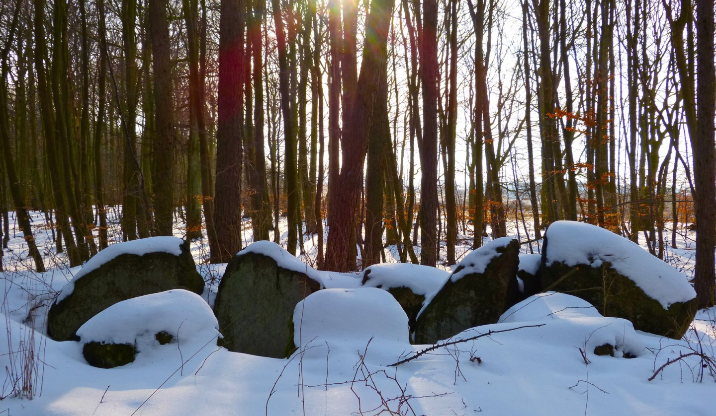 Winterromantik am Megalithgrab "Krampas" mit schneebedeckten Tragsteinen, © Archäo Tour Rügen