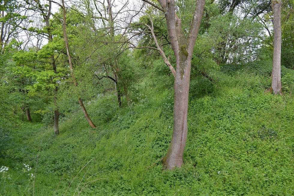 Der Wall der Slawenburg ist noch deutlich erkennbar., © Lutz Werner