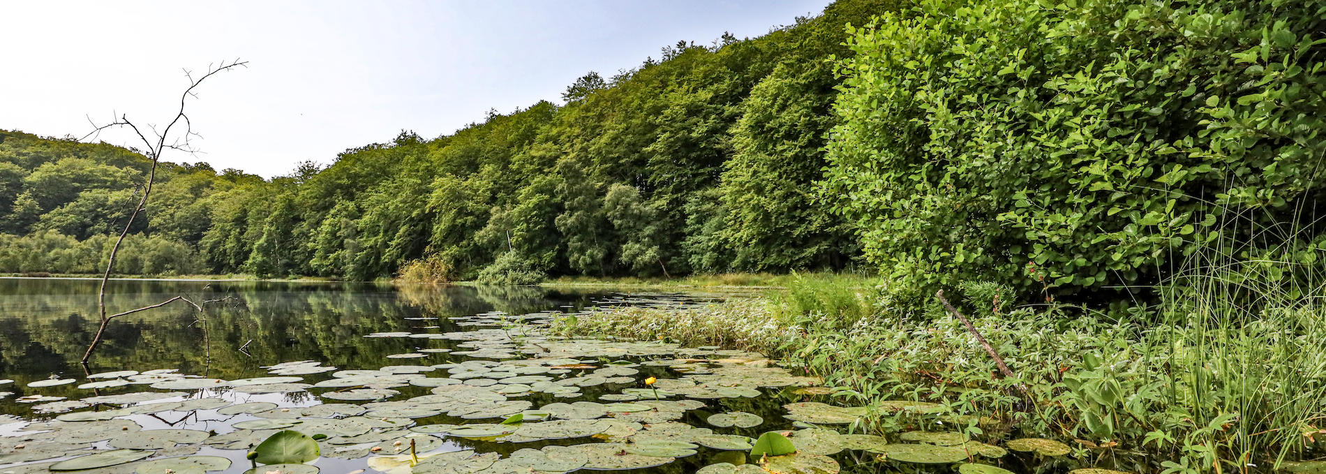 schwarzer-see-in-der-granitz_3, © TMV/Gohlke